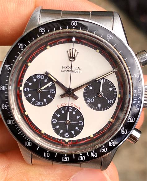 rolex daytona newman